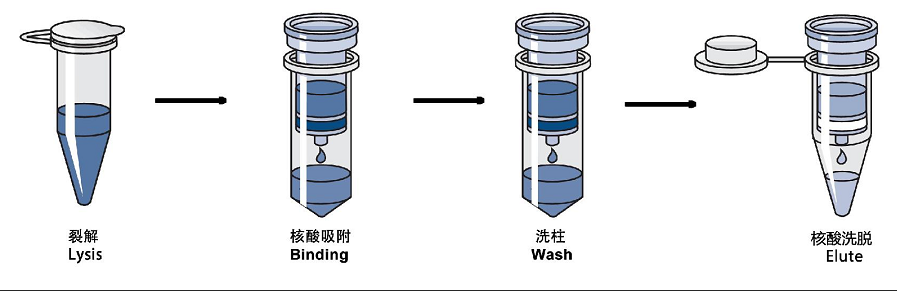 屏幕截图 2023-06-09 182051.png